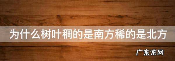 为什么枝叶稠的是南方稀的是北方呢,为什么树叶稠的一面是南边稀的一面是北边
