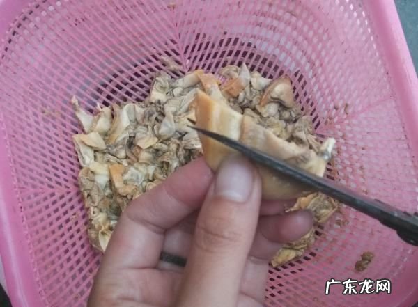蚌怎么炒才好吃,河蚌和什么做好吃