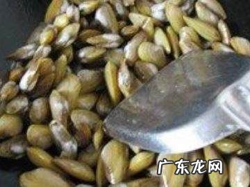 蛤蜊怎么炒,怎样炒贝壳