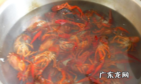 小龙虾冷水煮还是热水煮,小龙虾焯水用冷水还是热水