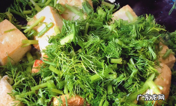 香料茴香怎么吃,干茴香的功效与作用是什么