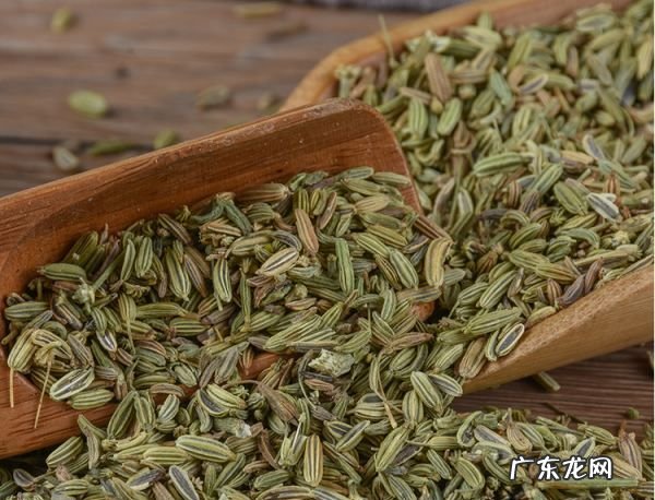 香料茴香怎么吃,干茴香的功效与作用是什么