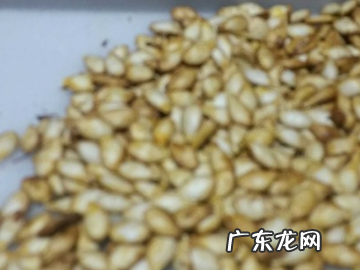 怎么炒生瓜子,辣炒瓜子仁的做法大全