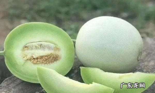 玉菇怎么挑选比较甜的,玉菇甜瓜几月份最好吃
