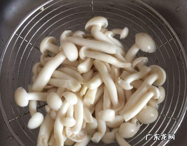 玉菇怎么挑选比较甜的,玉菇甜瓜几月份最好吃
