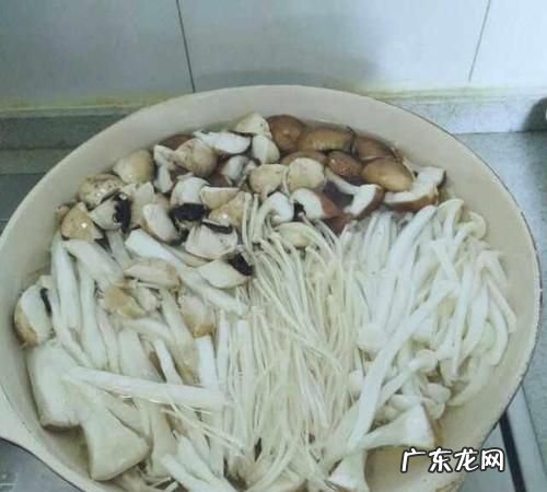 哪些菌菇类需要焯水,黑皮鸡枞菌要焯水多久