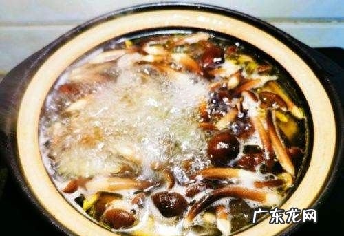 哪些菌菇类需要焯水,黑皮鸡枞菌要焯水多久