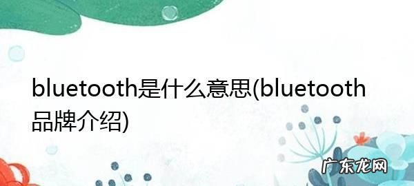 bluet00th蓝牙怎么连接,bluetooth蓝牙耳机怎么连接苹果手机