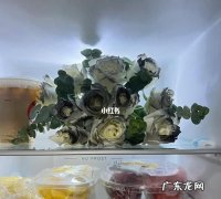 花可以放冰箱保鲜,花可以放冰箱保鲜