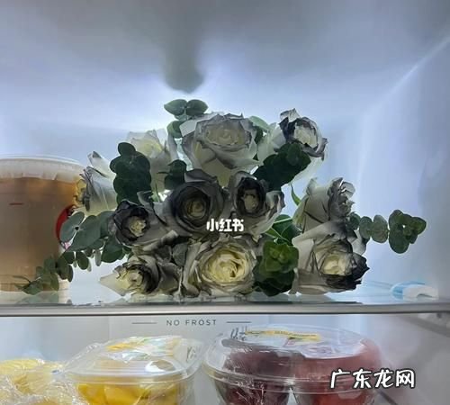 花可以放冰箱保鲜,花可以放冰箱保鲜