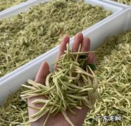 新鲜金银花怎么烘干家庭,金银花怎样晒干不变色