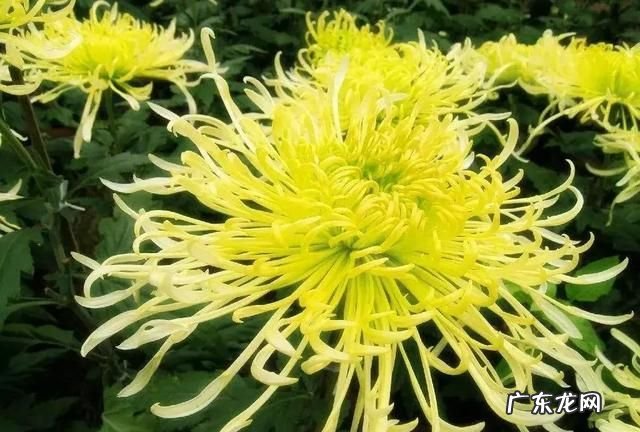 四月的雅称叫什么,四月的古代雅称名字