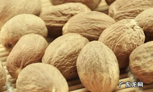 香果与肉蔻怎么分辨,调料肉扣与香果区别