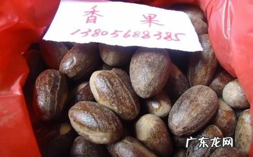 香果与肉蔻怎么分辨,调料肉扣与香果区别