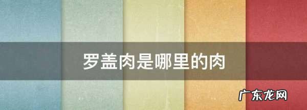 罗盖肉是哪里的肉,罗盖肉是哪里的肉做法