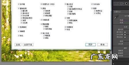 lightroom如何批处理,lightroom人像磨皮教程
