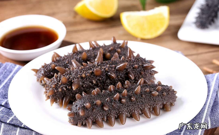 海参的特点有哪些,海参八大神奇特性要素是什么