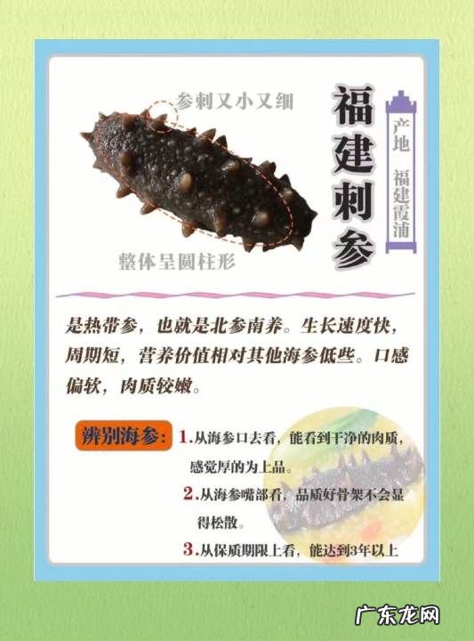 海参的特点有哪些,海参八大神奇特性要素是什么