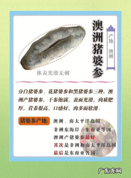 海参的特点有哪些,海参八大神奇特性要素是什么