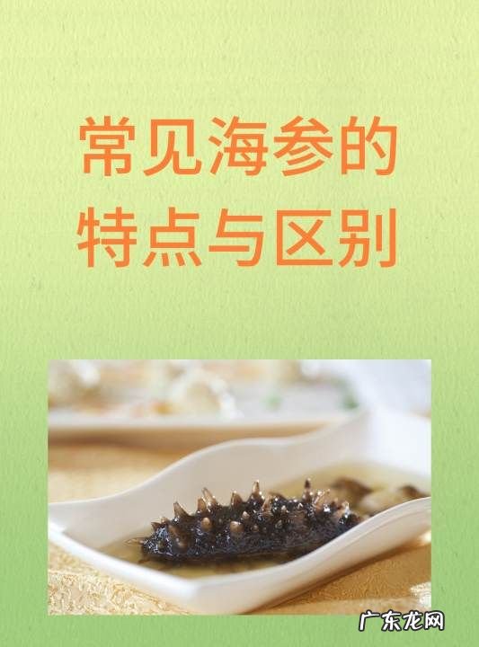 海参的特点有哪些,海参八大神奇特性要素是什么