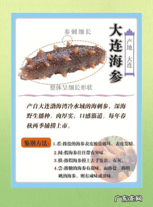海参的特点有哪些,海参八大神奇特性要素是什么