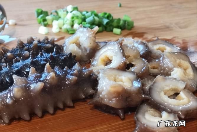 海参的特点有哪些,海参八大神奇特性要素是什么