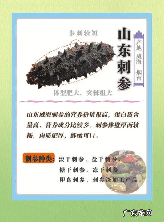海参的特点有哪些,海参八大神奇特性要素是什么