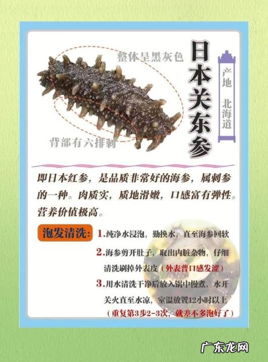 海参的特点有哪些,海参八大神奇特性要素是什么
