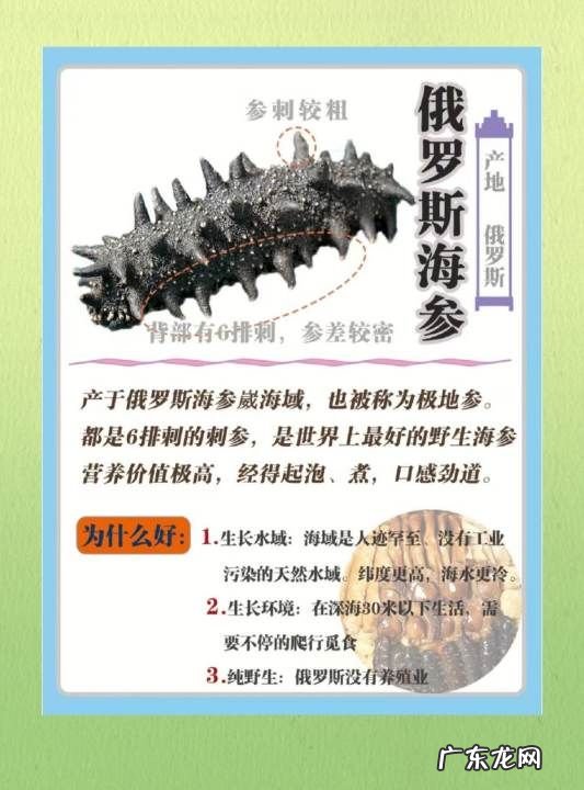 海参的特点有哪些,海参八大神奇特性要素是什么