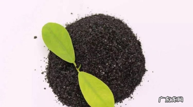 生物菌肥如何自制,家中如何自制生物菌肥