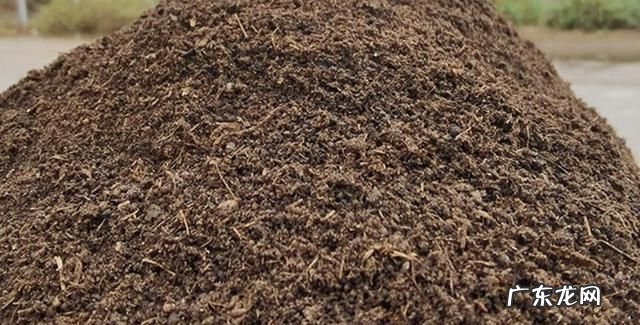 生物菌肥如何自制,家中如何自制生物菌肥