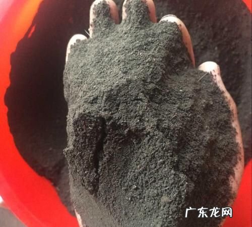 生物菌肥如何自制,家中如何自制生物菌肥