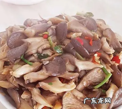 炒蘑菇怎么做,炒蘑菇的家常做法