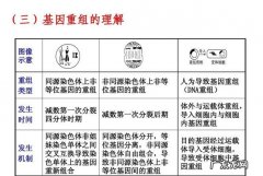 四分体出现在什么时期,四分体出现在什么时期偶线期