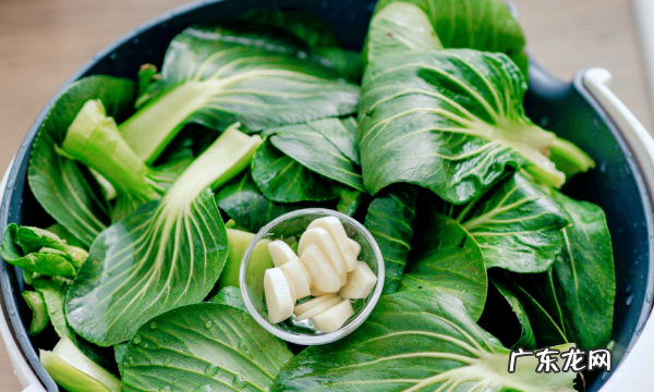 小青菜怎么炒好吃,青菜怎么炒好吃