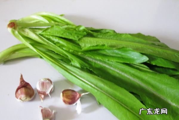 油麦菜怎么炒,炒油麦菜怎么炒才好吃