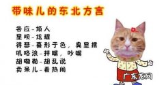 东北话叭叭什么意思,一天到晚叭叭叭是什么意思