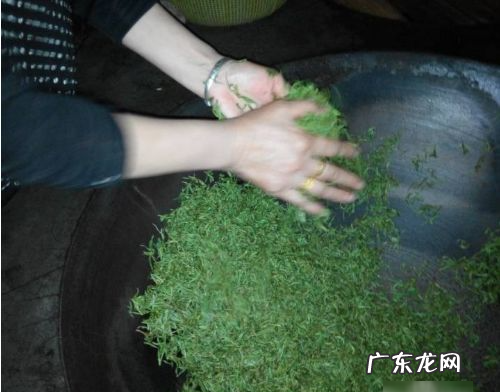炒茶叶怎么炒,茶叶怎么炒