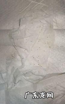 床上有小蚂蚁怎么办能除根,床上有蚂蚁怎么消灭掉有什么妙招