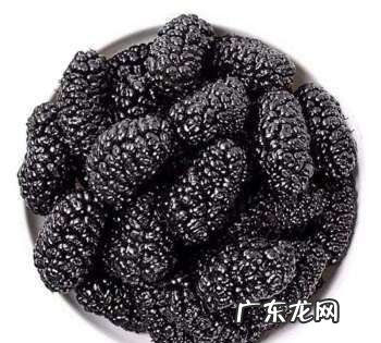 吃了桑葚手指黑色怎么洗,桑葚染色后怎么洗掉