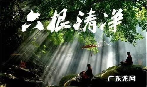 清净是什么意思,清净是什么意思