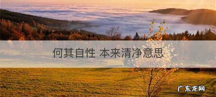 清净是什么意思,清净是什么意思