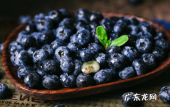 蓝莓是连皮吃还是剥皮吃,吃蓝莓需要剥皮