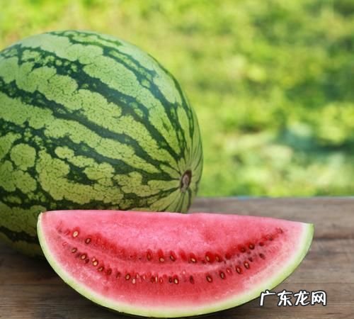 吃西瓜可以吃桃子,桃子和西瓜一起能吃