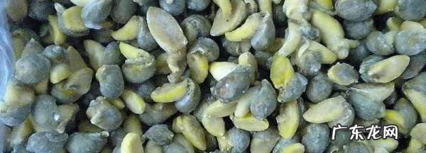 鲍鱼螺的粘液怎么处理,鲍鱼螺的粘液怎么清洗干净