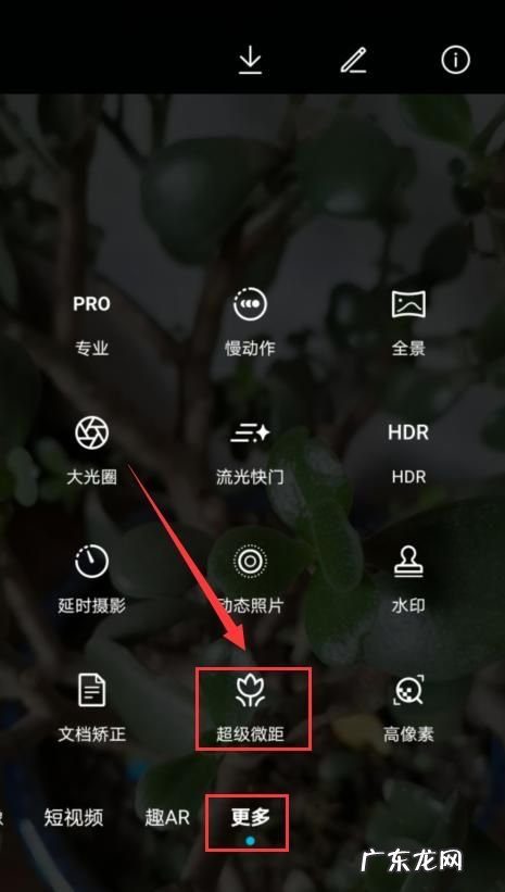 如何把照片拍的清晰,怎么查看相机拍的照片