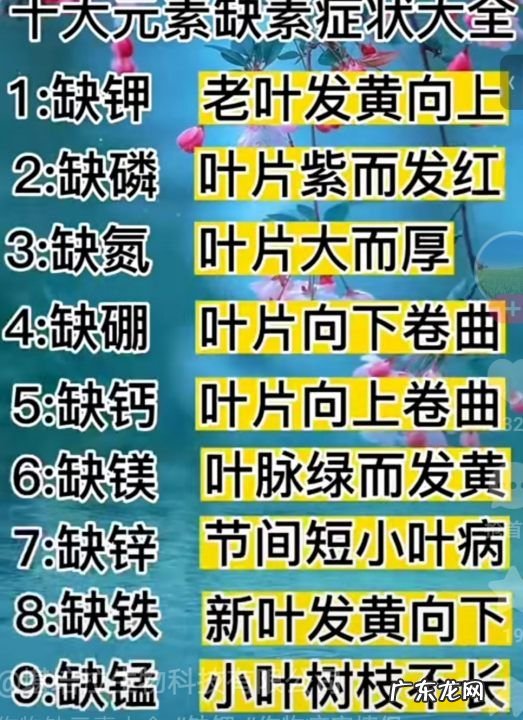 葫芦为什么是苦的能吃,葫芦苦是怎么回事 可以吃