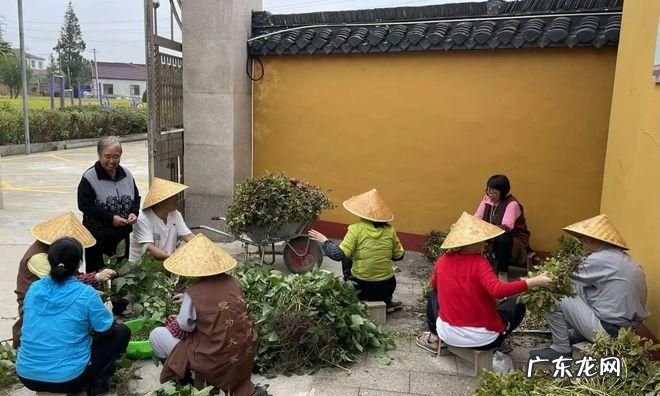 此有什么禅老家,花有 为小丛 诗词