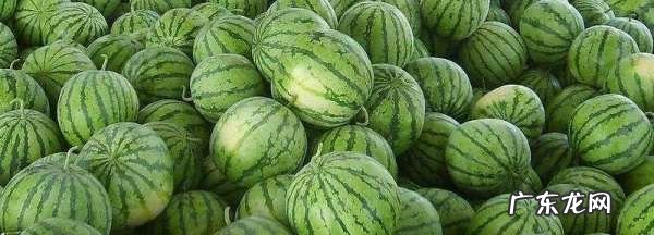 西瓜撒盐会更甜,为什么西瓜加盐会更甜