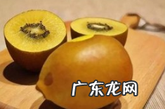 金奇异果和绿奇异果的营养区别,黄金猕猴桃和绿猕猴桃有什么区别营养价值一样